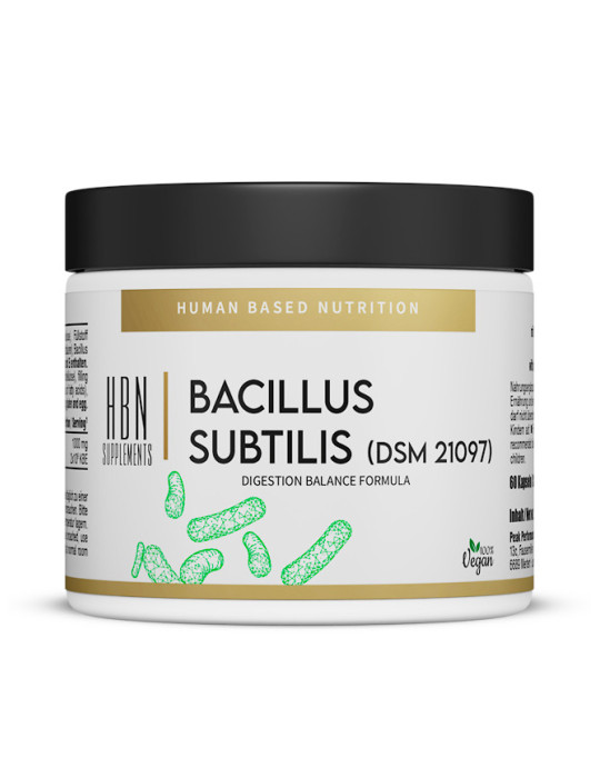 Bacillus Subtilis (DSM 21097) - 60 gélules