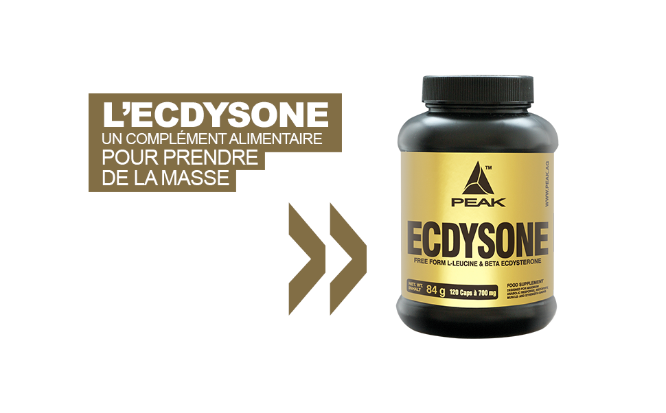 Zoom sur l’ecdysone, un complément alimentaire pour prendre de la masse