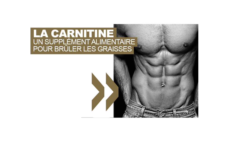 La carnitine, un supplément alimentaire pour brûler les graisses