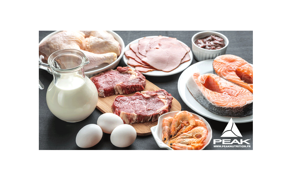 Quel type de régime est le meilleur ?