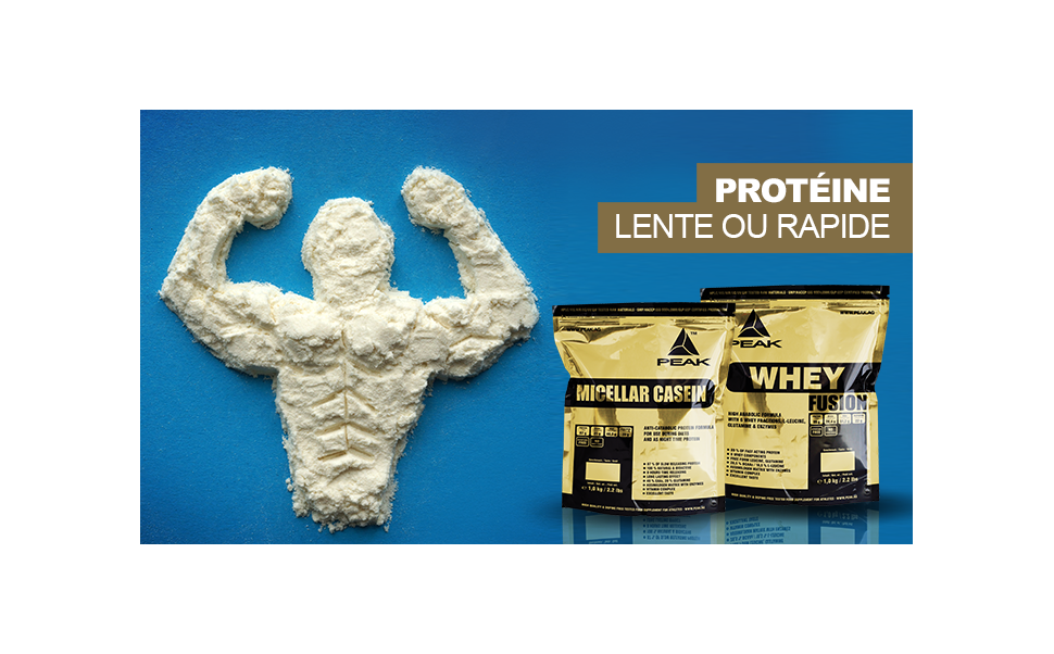 Protéines lentes et protéines rapides