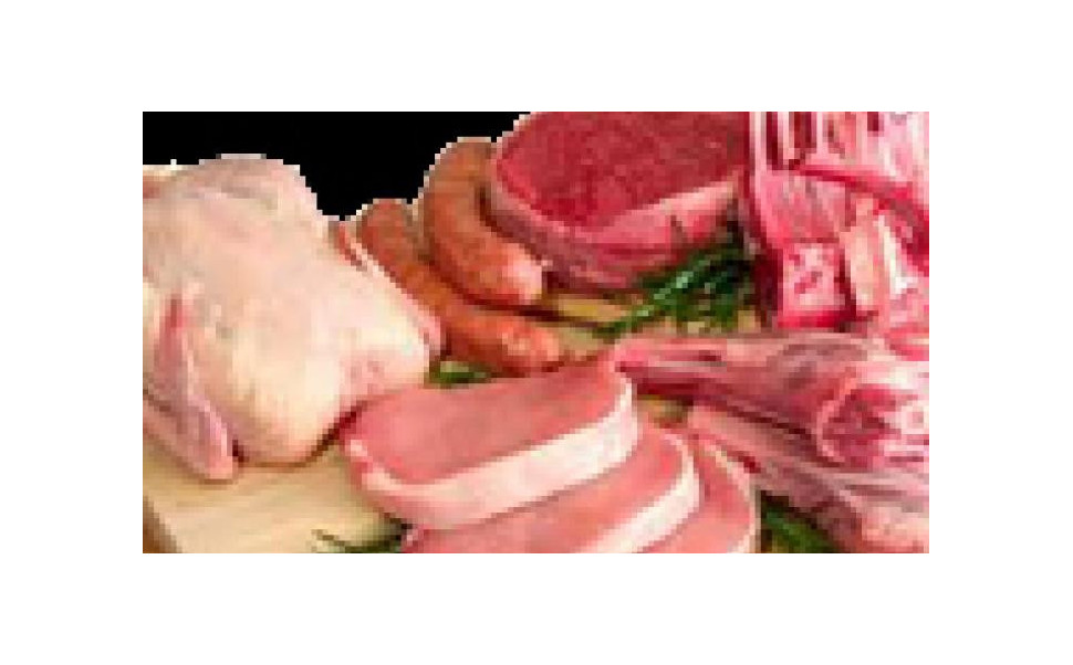 Valeur biologique des protéines et assimilation