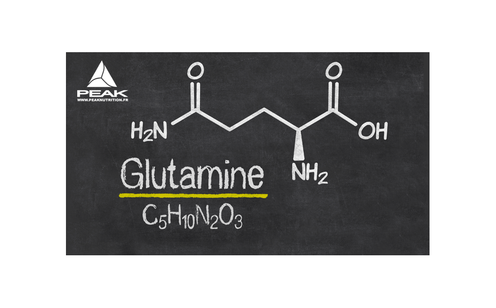 La Glutamine
