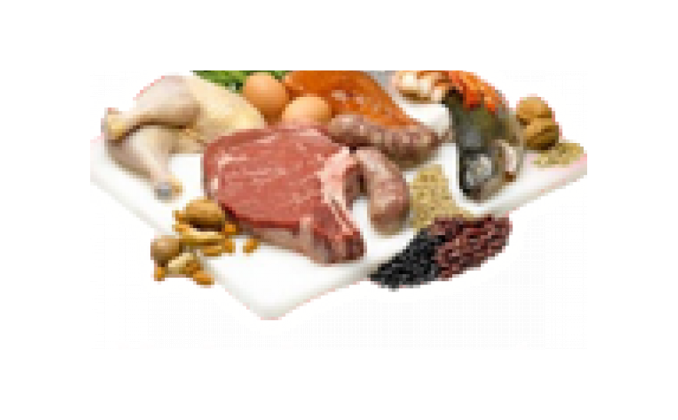 Mes sources de protéines