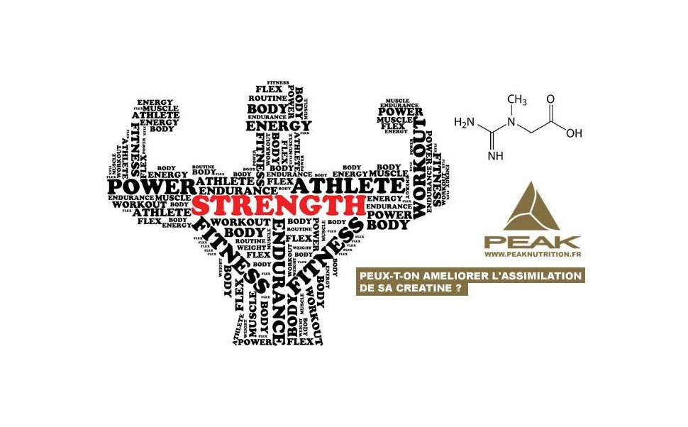 Optimiser les effets de la créatine