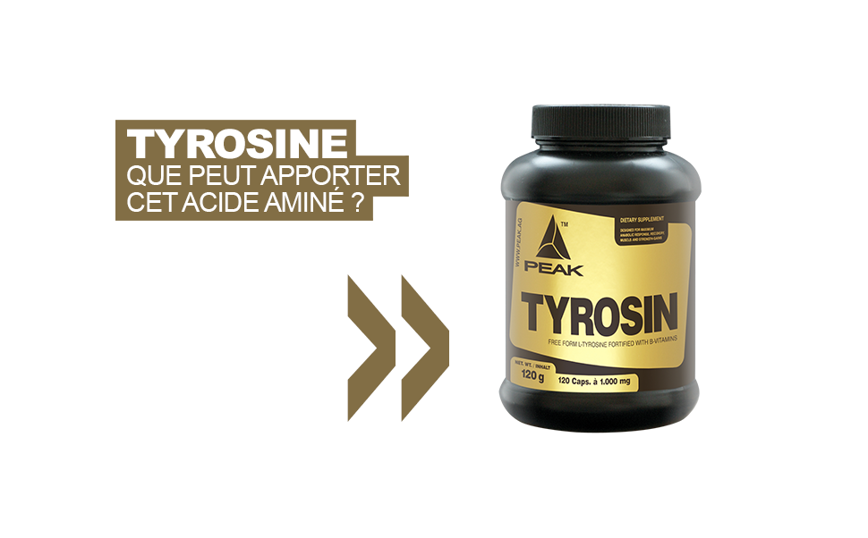 Tyrosine : que peut apporter cet acide aminé ?