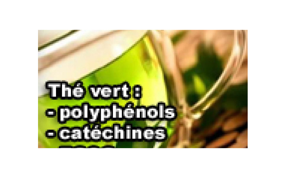 Tout savoir sur le thé vert - partie 2 : bienfaits des polyphénols et EGCG selon les études scientifiques