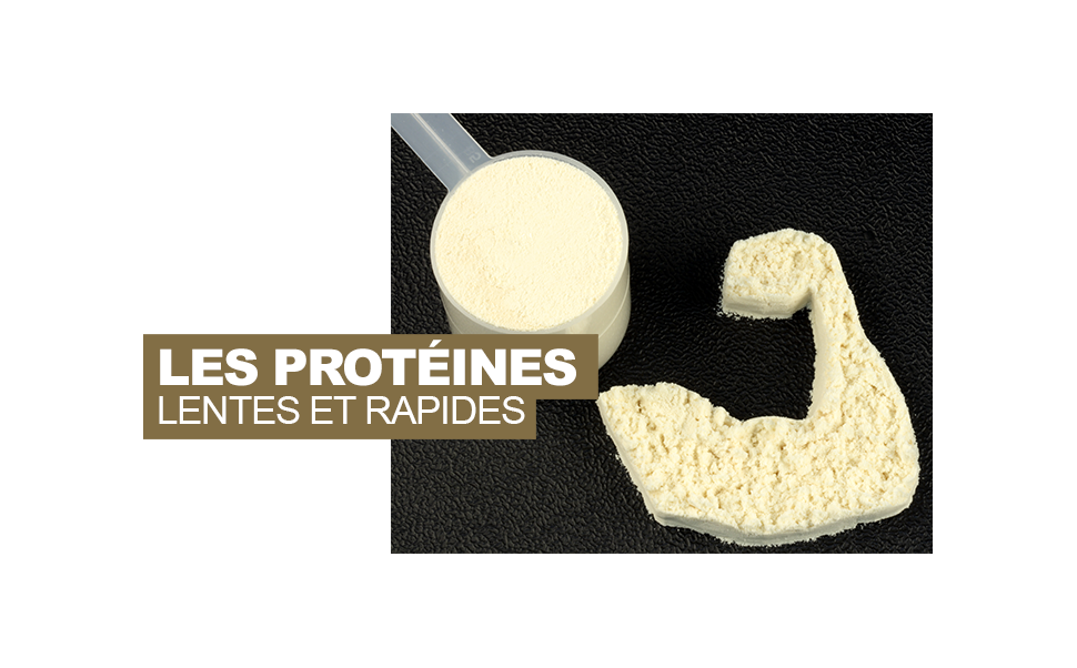 Les protéines lentes et rapides