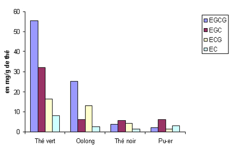 teneur du thé en EGCG