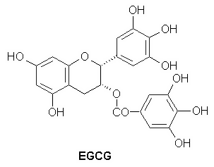 EGCG