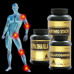 Compléments pour soulager les douleurs articulaires